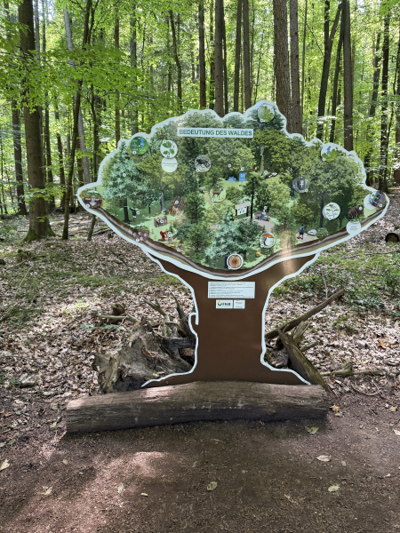 Barfußpark Egestorf – Naturerlebnis für alle Sinne in der Lüneburger Heide