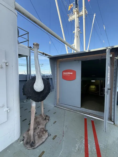 Cap San Diego in Hamburg