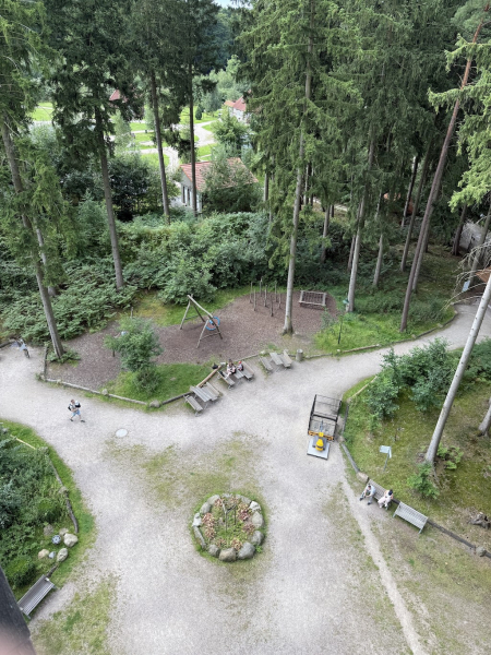 Heide Himmel – Baumwipfelpfad in der Lüneburger Heide