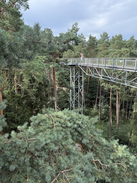 Heide Himmel – Baumwipfelpfad in der Lüneburger Heide