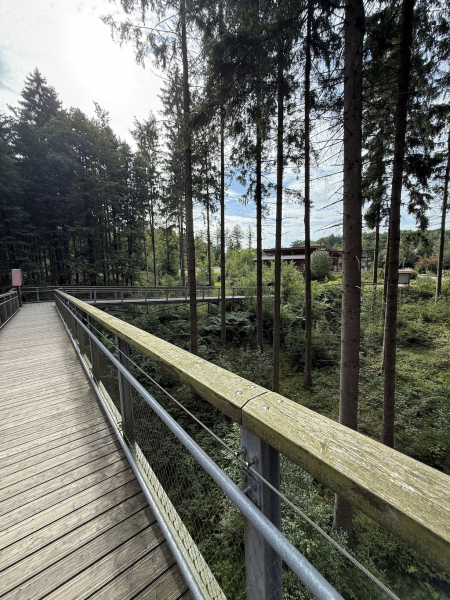 Heide Himmel – Baumwipfelpfad in der Lüneburger Heide