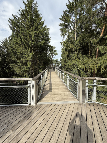 Heide Himmel – Baumwipfelpfad in der Lüneburger Heide