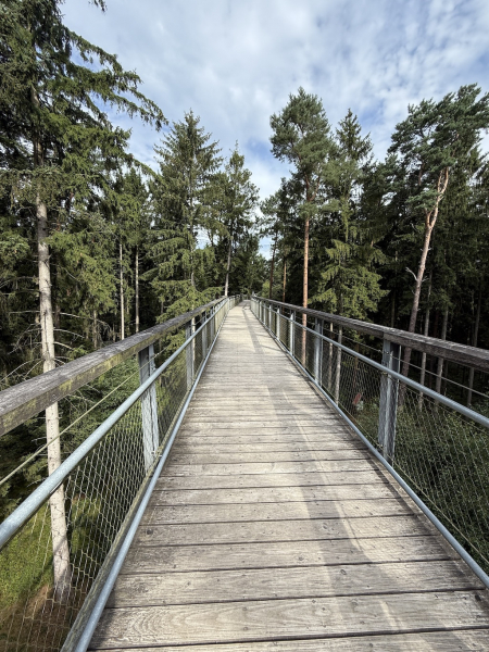 Heide Himmel – Baumwipfelpfad in der Lüneburger Heide