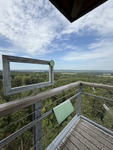 Heide Himmel – Baumwipfelpfad in der Lüneburger Heide