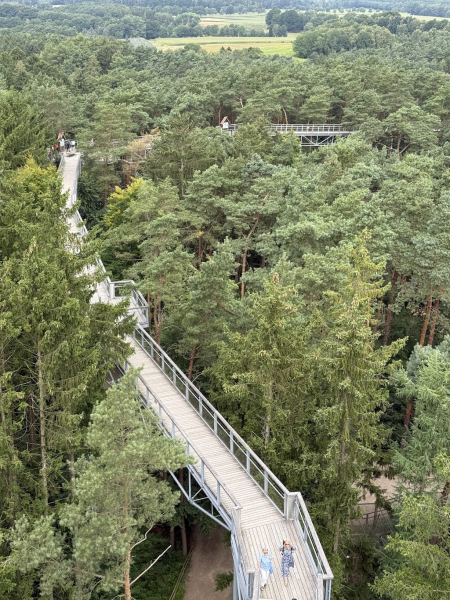 Heide Himmel – Baumwipfelpfad in der Lüneburger Heide