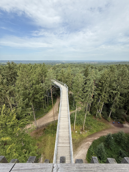 Heide Himmel – Baumwipfelpfad in der Lüneburger Heide