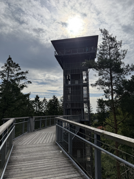 Heide Himmel – Baumwipfelpfad in der Lüneburger Heide
