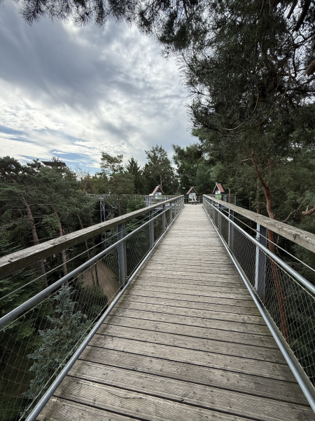 Heide Himmel – Baumwipfelpfad in der Lüneburger Heide