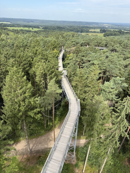 Heide Himmel – Baumwipfelpfad in der Lüneburger Heide