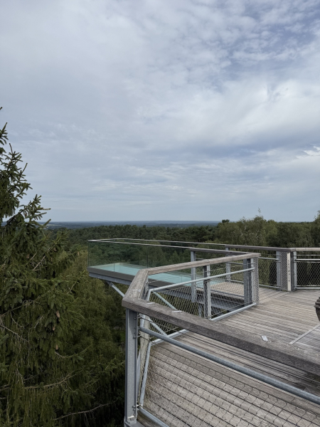 Heide Himmel – Baumwipfelpfad in der Lüneburger Heide