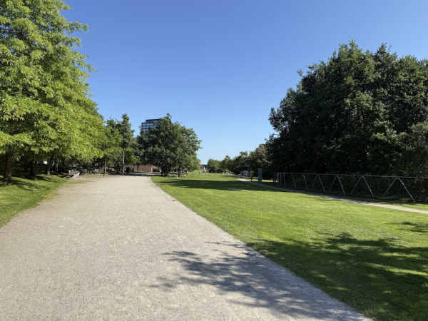 Lohsepark in der Hafencity Hamburg
