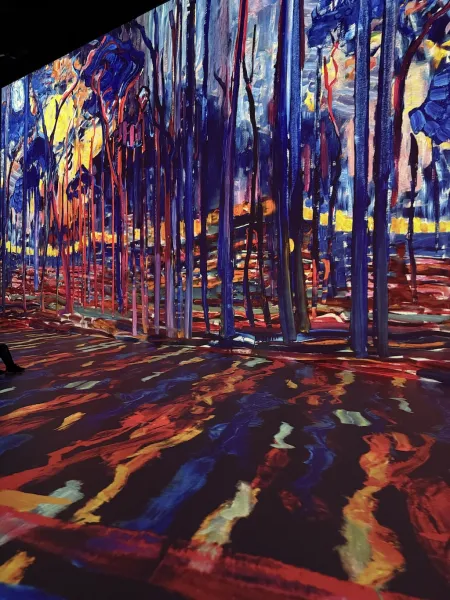 Port des Lumières Hamburg