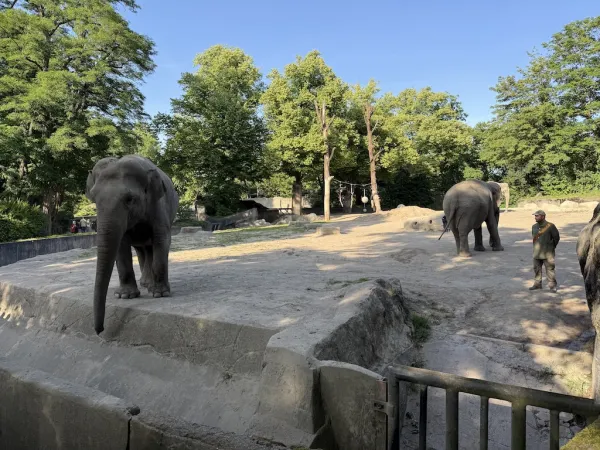 Tierpark Hagenbeck