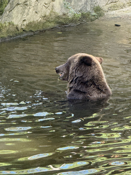Wildpark Schwarze Berge