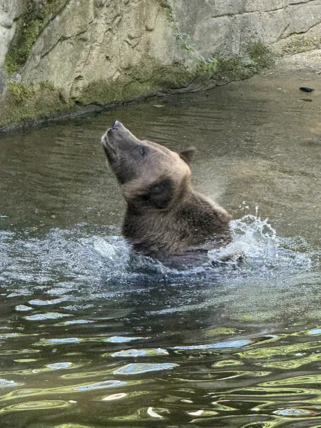 Wildpark Schwarze Berge
