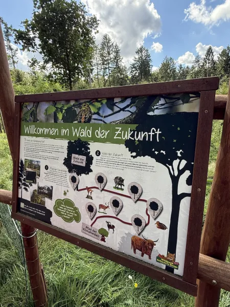 Wildpark Schwarze Berge